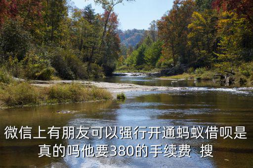 強開螞蟻借唄怎么收費，微信上有朋友可以強行開通螞蟻借唄是真的嗎他要380的手續(xù)費  搜