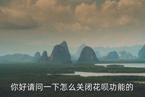 怎么在淘寶取消花唄支付，怎么取消淘寶賣(mài)家店鋪花唄分期訂單須大于等于600元的限制100不