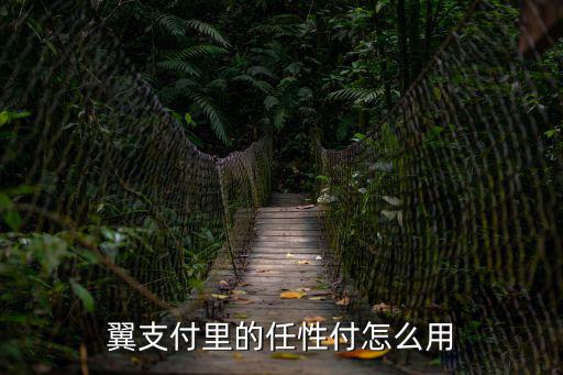 怎么用任性付付款，翼支付里的任性付怎么用