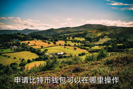 比特幣怎么辦卡，申請比特幣錢包可以在哪里操作