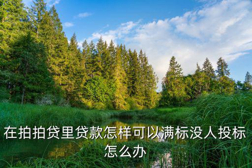 拍拍貸投標失敗怎么辦，拍拍貸怎么現(xiàn)在我的招標怎么沒人投標啊