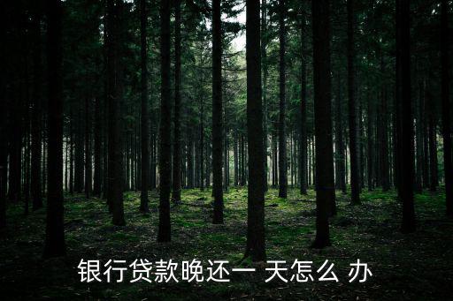 銀行貸款晚還一 天怎么 辦