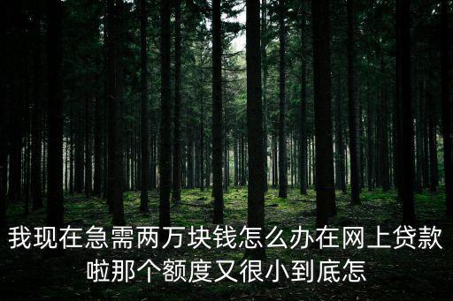 我現(xiàn)在急需兩萬塊錢怎么辦在網(wǎng)上貸款啦那個額度又很小到底怎