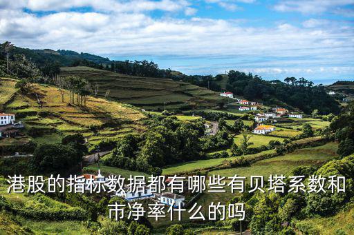港股的指標數(shù)據(jù)都有哪些有貝塔系數(shù)和市凈率什么的嗎