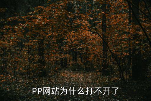 PP網(wǎng)站為什么打不開了