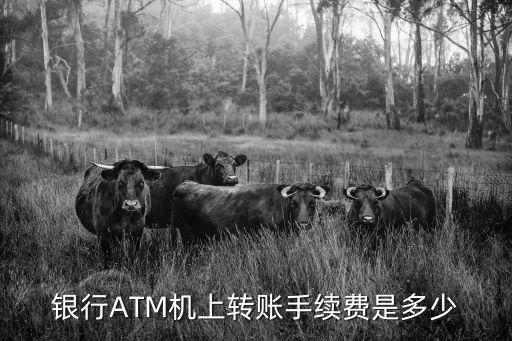 atm個(gè)人對(duì)公轉(zhuǎn)賬怎么轉(zhuǎn)賬手續(xù)費(fèi)是多少，ATM機(jī)轉(zhuǎn)賬手續(xù)費(fèi)怎么算