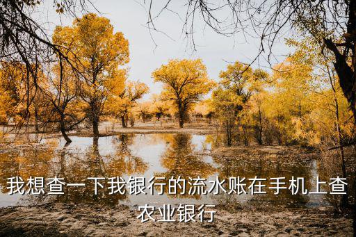我想查一下我銀行的流水賬在手機(jī)上查農(nóng)業(yè)銀行
