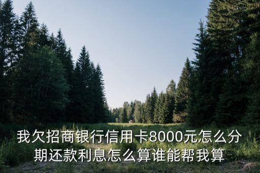 我欠招商銀行信用卡8000元怎么分期還款利息怎么算誰能幫我算