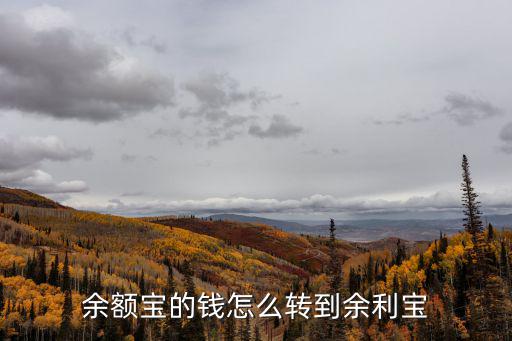 余額寶的錢怎么轉(zhuǎn)到余利寶