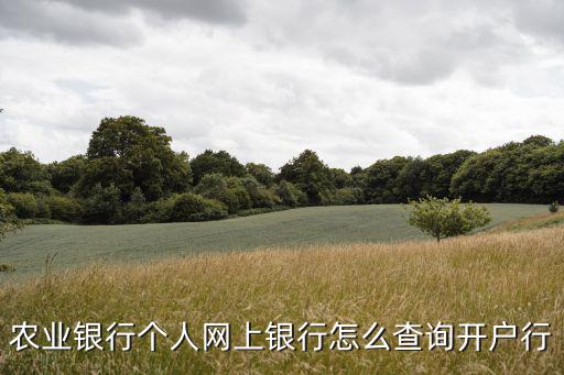 農(nóng)業(yè)銀行個人網(wǎng)上銀行怎么查詢開戶行