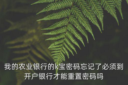 我的農(nóng)業(yè)銀行的k寶密碼忘記了必須到開戶銀行才能重置密碼嗎