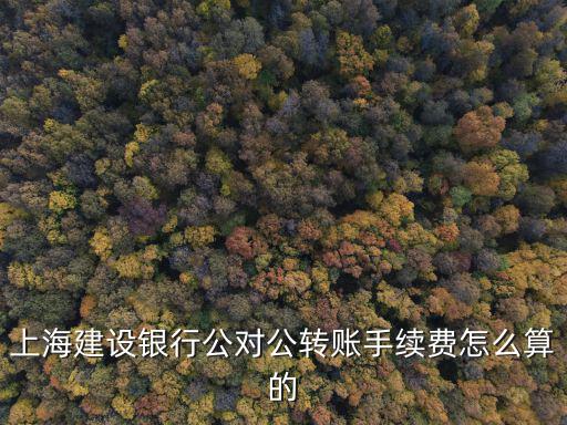 網(wǎng)上公對(duì)公怎么轉(zhuǎn)賬手續(xù)費(fèi)是多少錢(qián)，上海建設(shè)銀行公對(duì)公轉(zhuǎn)賬手續(xù)費(fèi)怎么算的