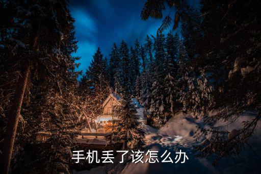 手機丟了該怎么辦