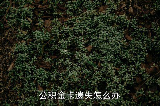 公積金卡遺失怎么辦