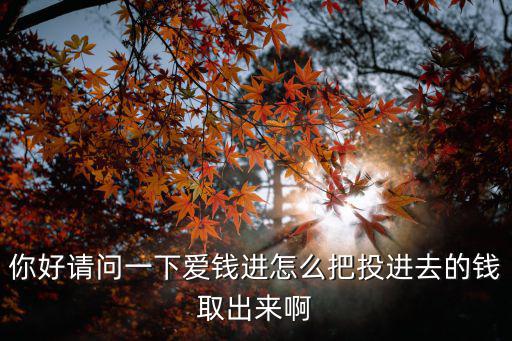 你好請(qǐng)問(wèn)一下愛(ài)錢進(jìn)怎么把投進(jìn)去的錢取出來(lái)啊