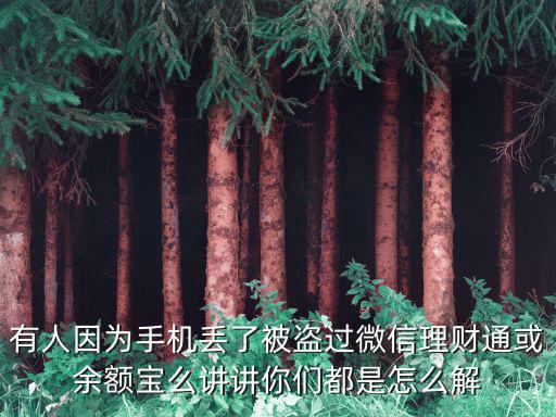 有人因為手機丟了被盜過微信理財通或余額寶么講講你們都是怎么解