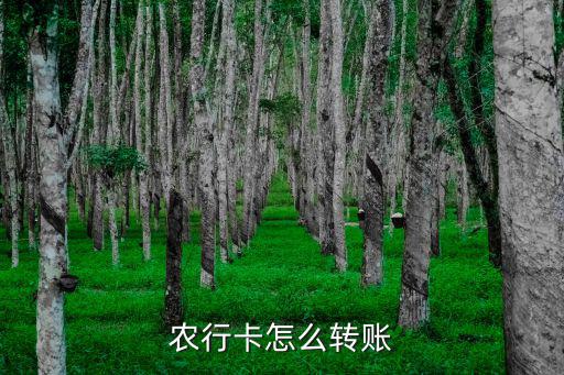 atm農(nóng)行怎么直接轉(zhuǎn)賬，用農(nóng)行的自動取款機怎么轉(zhuǎn)賬