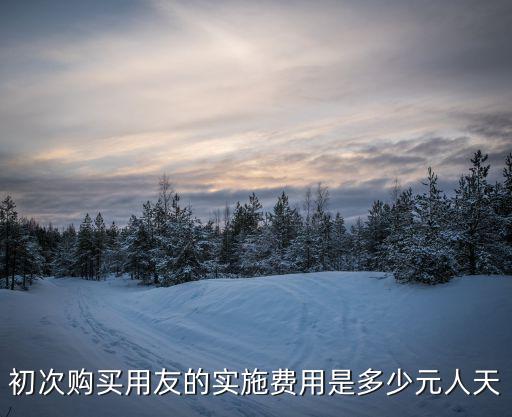 稅易貸怎么收費標(biāo)準(zhǔn)，初次購買用友的實施費用是多少元人天