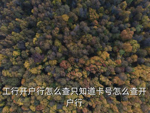 工行開(kāi)戶行怎么查只知道卡號(hào)怎么查開(kāi)戶行