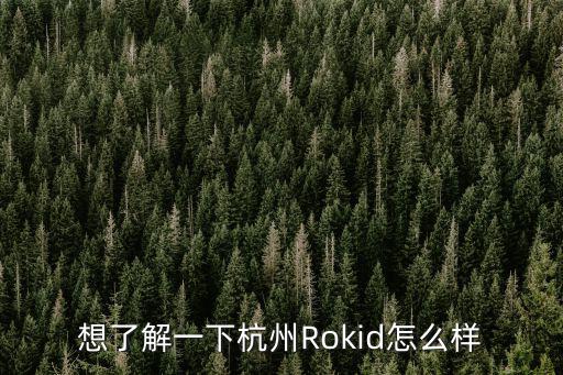 杭州的人人基金怎么樣啊，想了解一下杭州Rokid怎么樣