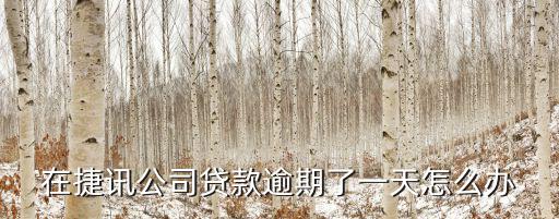 貸款晚還了一天怎么辦，銀行貸款晚還一 天怎么 辦