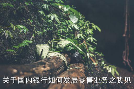 關(guān)于國(guó)內(nèi)銀行如何發(fā)展零售業(yè)務(wù)之我見