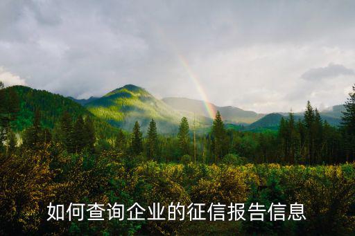 如何查詢企業(yè)的征信報(bào)告信息