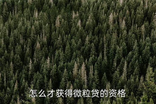 怎么才獲得微粒貸的資格