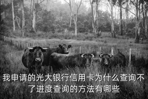 光大銀行信用卡怎么查詢，請問光大銀行信用卡怎么查詢明細和余額
