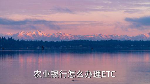 農(nóng)業(yè)銀行怎么辦理ETC
