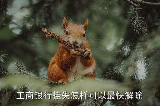 工行軟件掛失怎么取消，工商銀行掛失怎樣可以最快解除