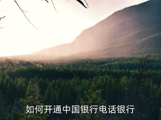 如何開通中國銀行電話銀行