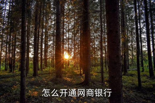 怎么開通網(wǎng)商銀行