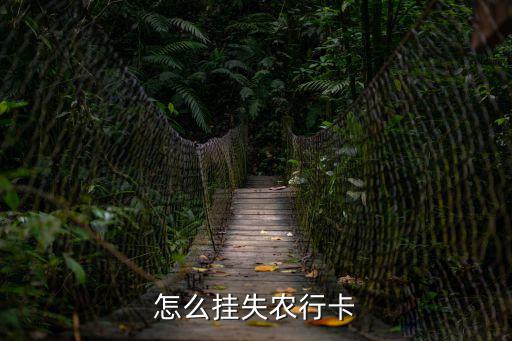 怎么掛失農(nóng)行卡