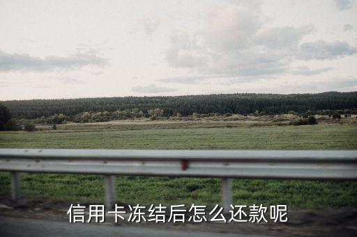 信用卡凍結(jié)后怎么還款呢