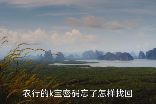 農(nóng)行的k寶密碼忘了怎樣找回