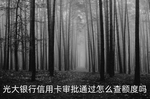 光大銀行信用卡審批通過怎么查額度嗎