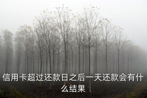 還信用卡晚了一天會怎么樣，信用卡到期還款日超出一天有什么后果