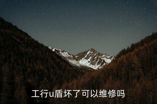 工行u盾壞了可以維修嗎