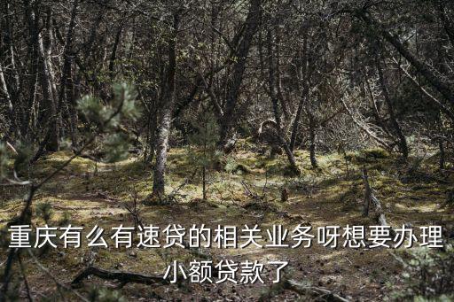 重慶有么有速貸的相關業(yè)務呀想要辦理小額貸款了