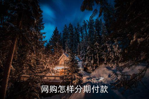 網(wǎng)上分期付款怎么付，在網(wǎng)上買東西怎么分期付款