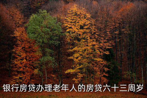 銀行房貸辦理老年人的房貸六十三周歲
