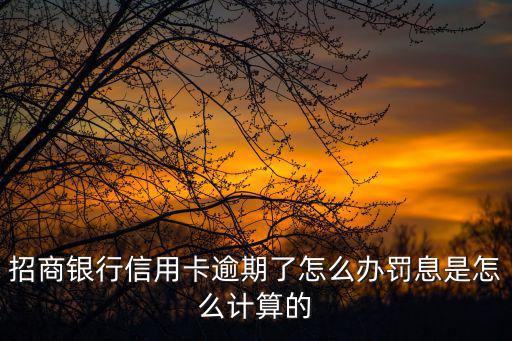 招商銀行信用卡逾期了怎么辦罰息是怎么計算的