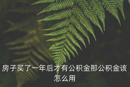 買房子公積金怎么使用，房子買了一年后才有公積金那公積金該怎么用