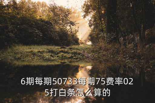 京東白條費率怎么計算，6期每期50733每期75費率025打白條怎么算的