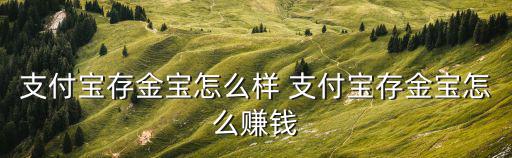 支付寶存金寶怎么樣 支付寶存金寶怎么賺錢