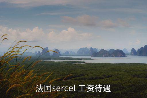 法國工行待遇怎么樣，法國工人工資