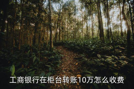 工商銀行在柜臺轉(zhuǎn)賬10萬怎么收費(fèi)