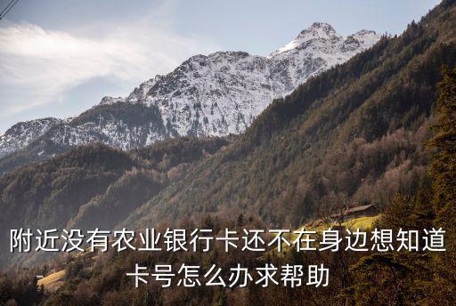 附近沒有農(nóng)業(yè)銀行卡還不在身邊想知道卡號怎么辦求幫助