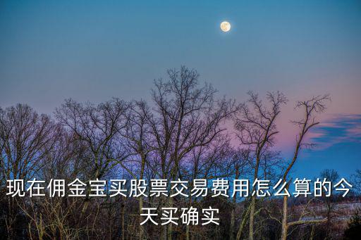 現(xiàn)在傭金寶買股票交易費(fèi)用怎么算的今天買確實(shí)